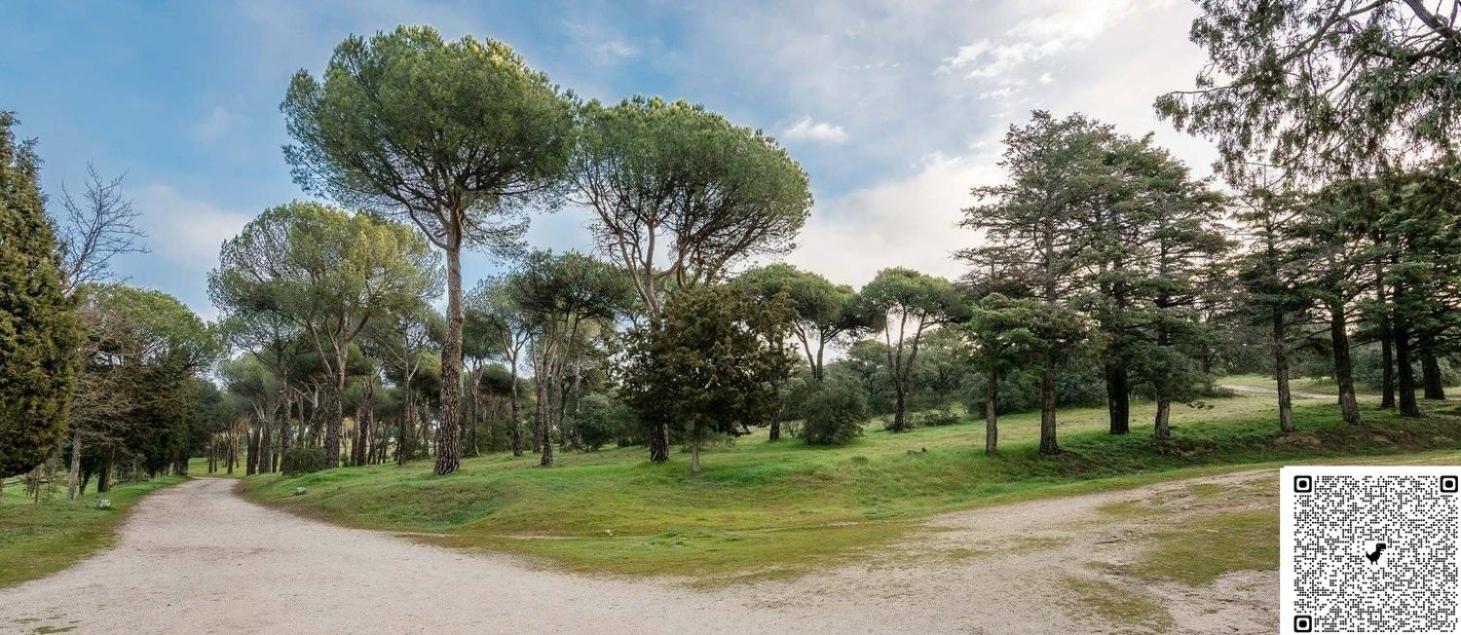 Apartamento Las Rozas Centro Con Parking Incluido Extérieur photo